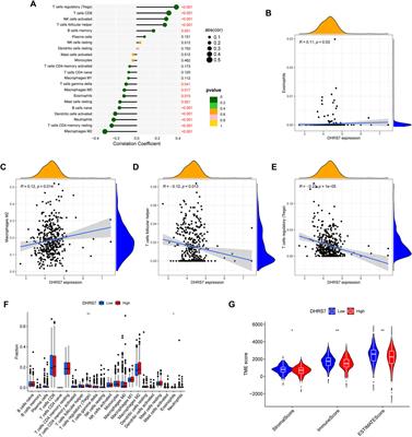 DHRS7 is an immune-related prognostic biomarker of KIRC and pan-cancer